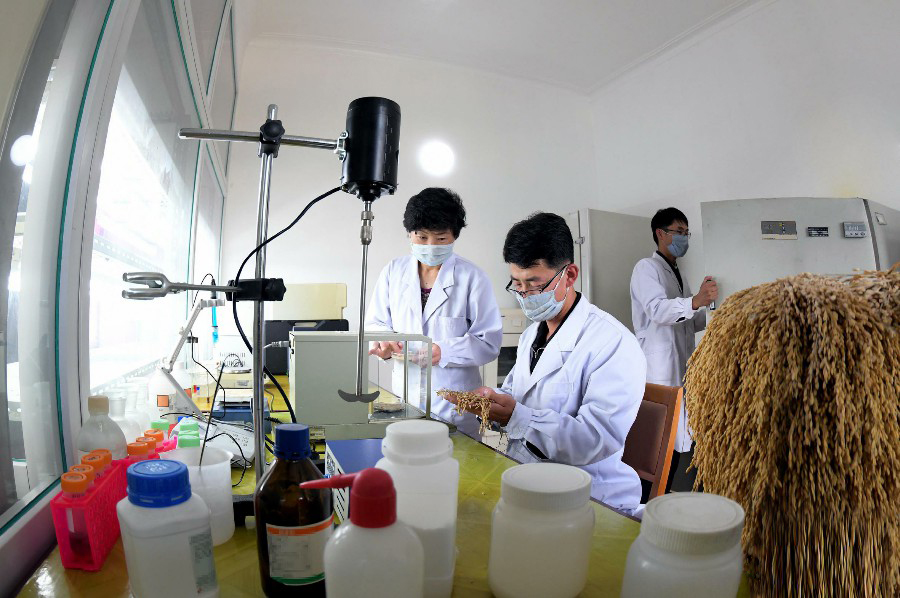 3-80일전투의 불길드높이 생산적앙양을!